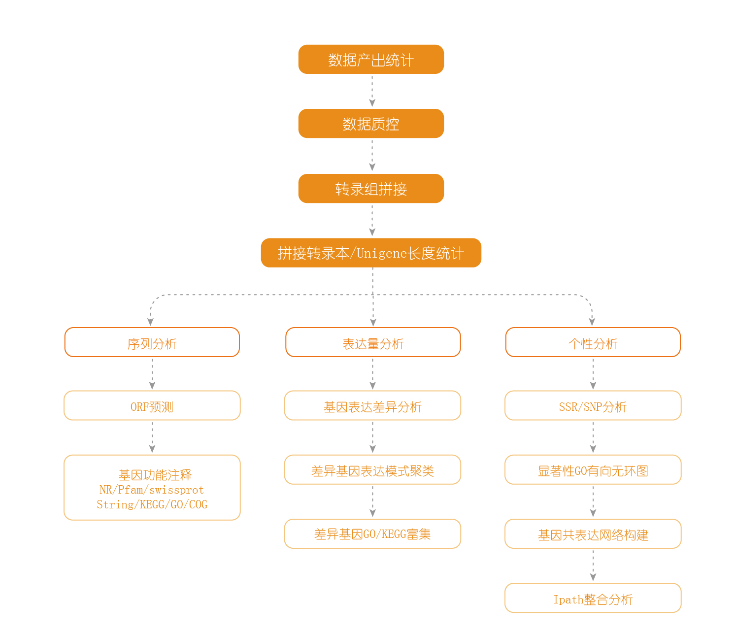差异基因go富集分析