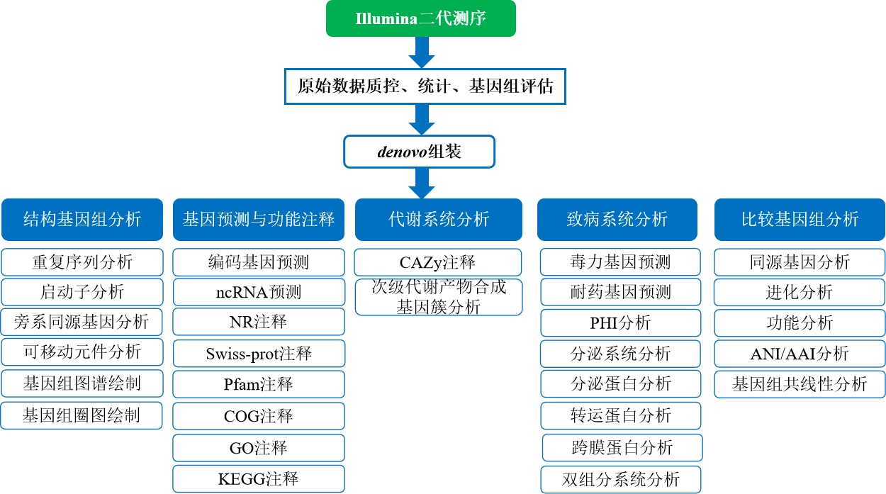 细菌扫描图流程图.png