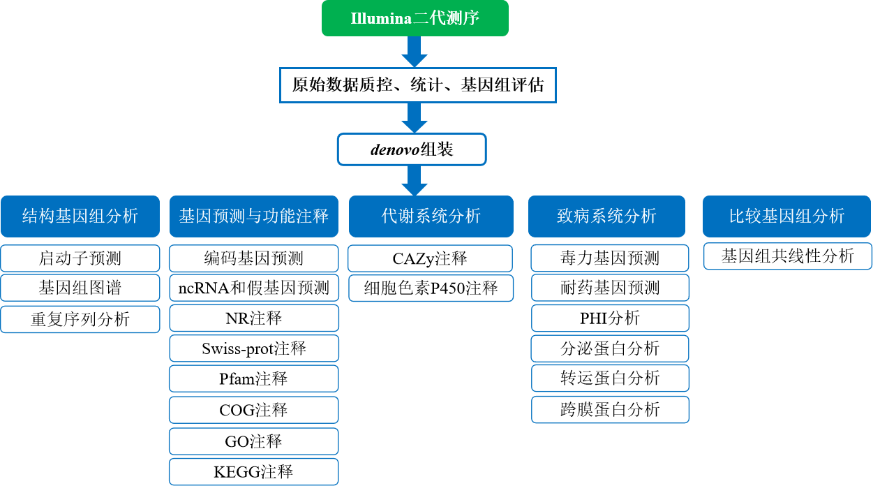 真菌扫描图流程图.png
