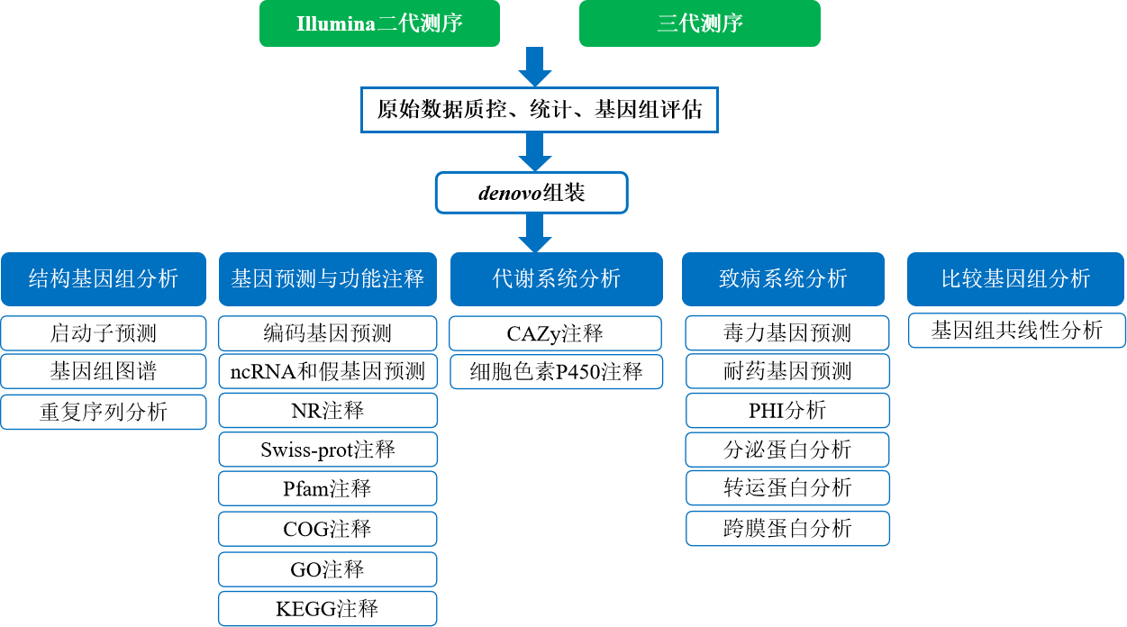 真菌精细图流程图.png