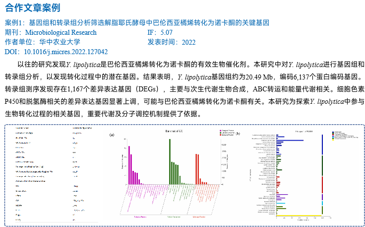 真菌精细图案例.png