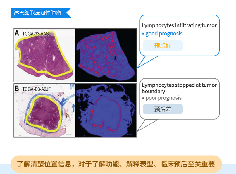 1689568915372461.png 图片.png