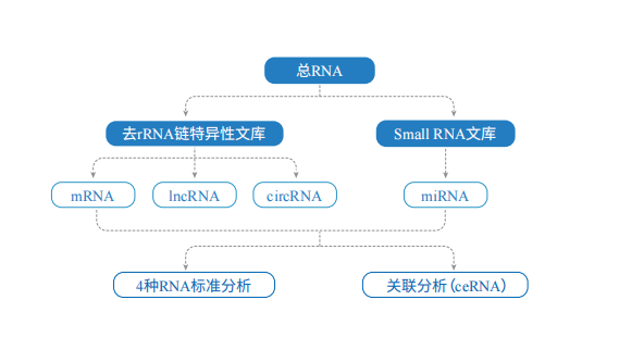1689578207476794.png 图片.png