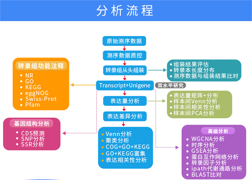 产品商城—真核无参最终版(3).png