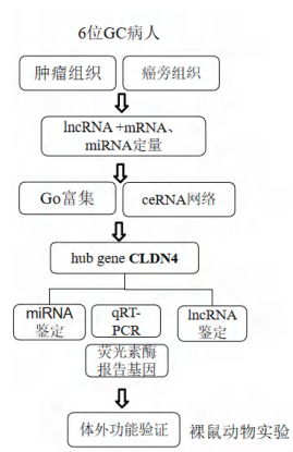 1689580565426381.png 图片.png