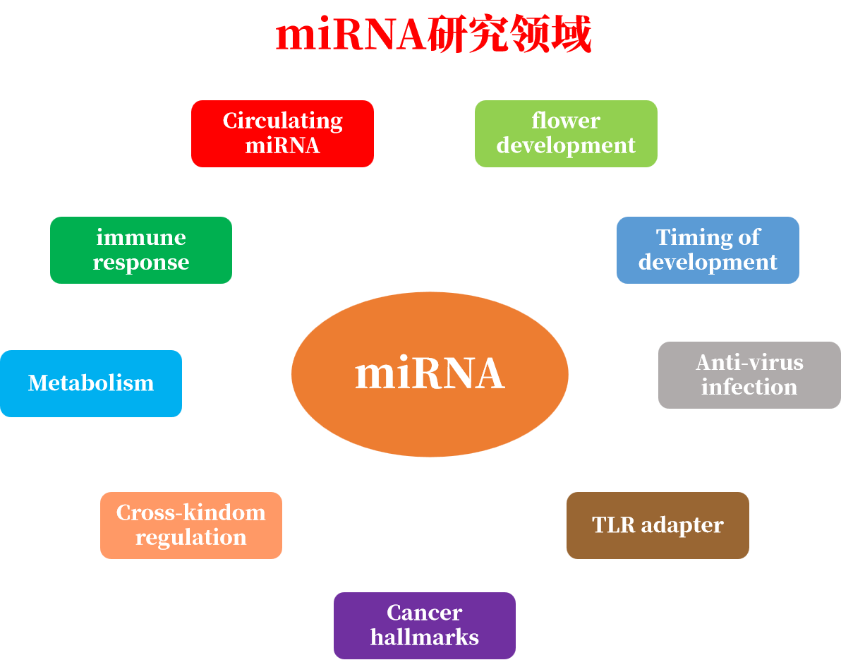 miRNA应用领域.png
