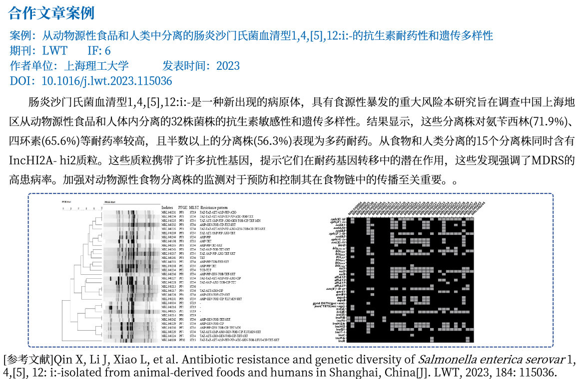 细菌扫描案例2.png